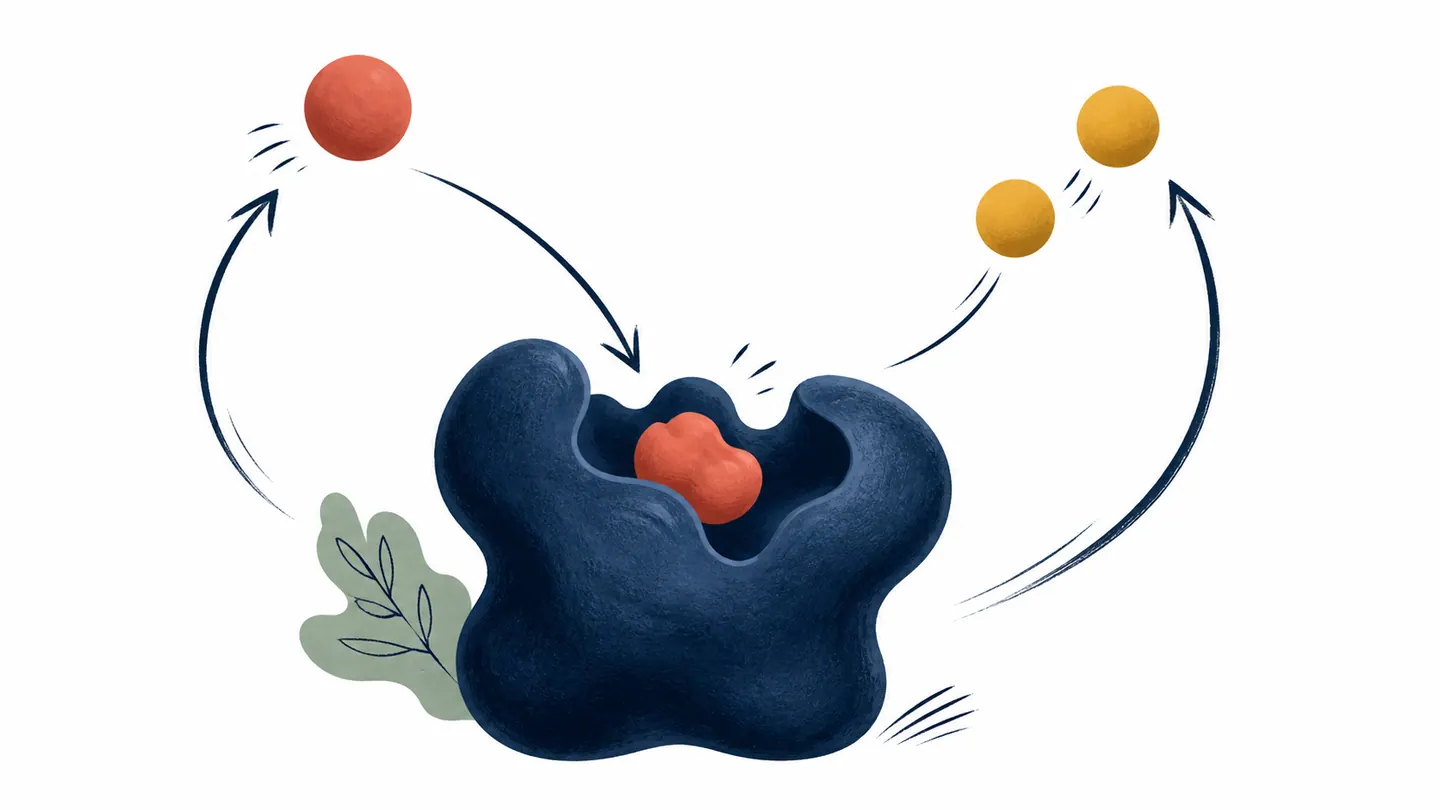 An enzyme binds a substrate bead, transforms it in the active pocket, and releases product beads around a circular motion